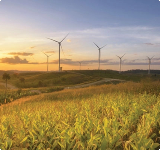 Campo coltivato con pale eoliche sullo sfondo al tramonto.